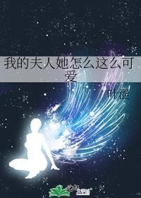 我的夫人讲的是什么